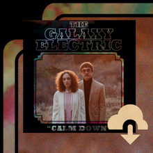 Load image into Gallery viewer, Calm Down (Single) - Deluxe Digital Download