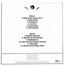Load image into Gallery viewer, The Galaxy Electric - Everything is Light and Sound - Vinyl Album Back